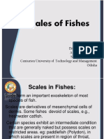 Session 2 Scales of Fishes