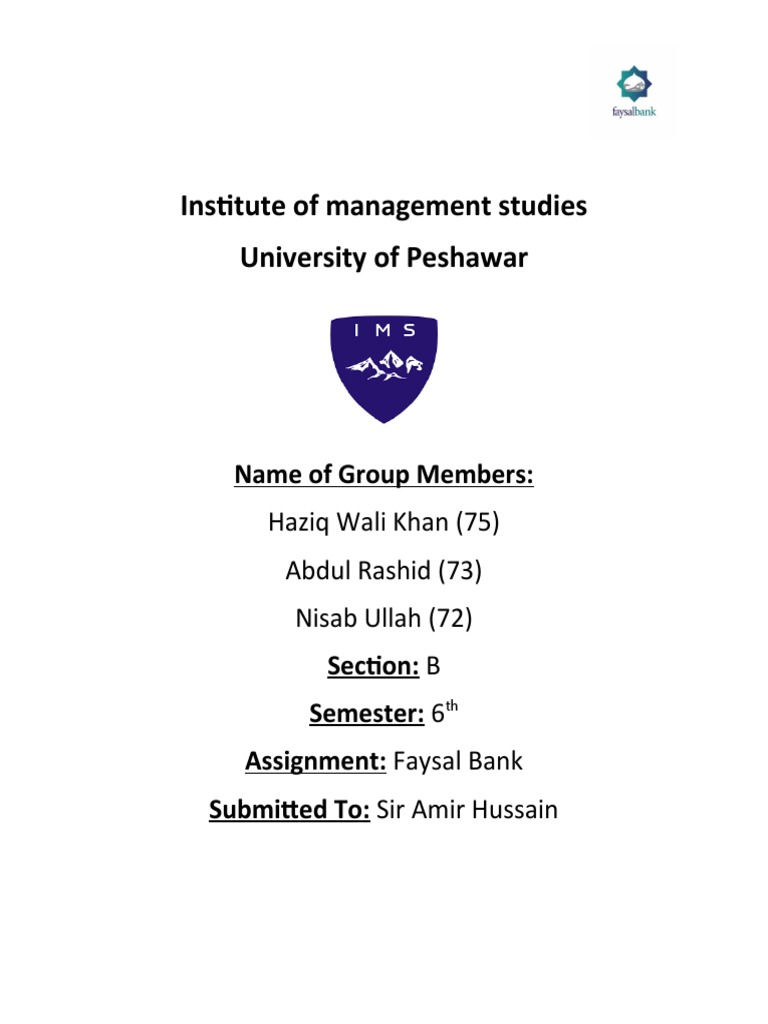 Money and Banking Final Assignment PDF