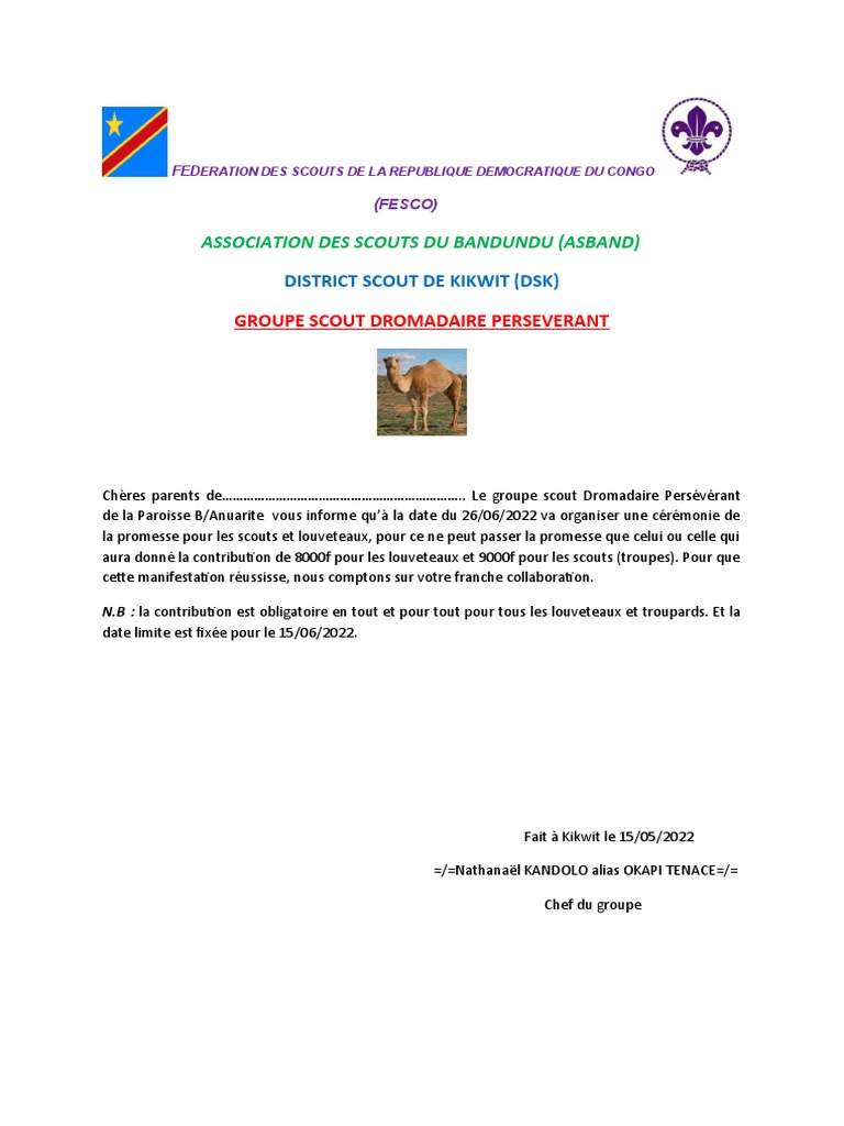 Cérémonie de promesse scoute à Kikwit | PDF
