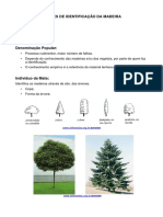 2 Aula - Noções de Identificação Da Madeira