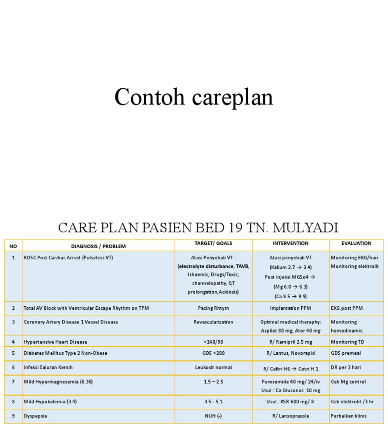 Contoh Careplan | PDF