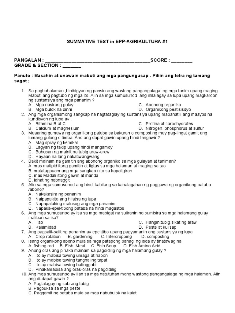 SUMMATIVE TEST in EPP 1 | PDF