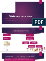 Sistema Nervioso Histología