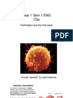 PDF - Curs 5a An 1 Sem 1 ENG - Fertilization and First Week