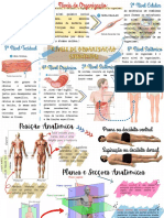 Níveis de Organização do Corpo Humano