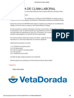 Encuesta de Clima Laboral - Veta Dorada-6