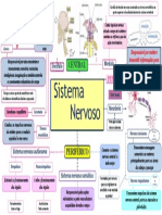 SNE: Estrutura e Funções do Sistema Nervoso Central