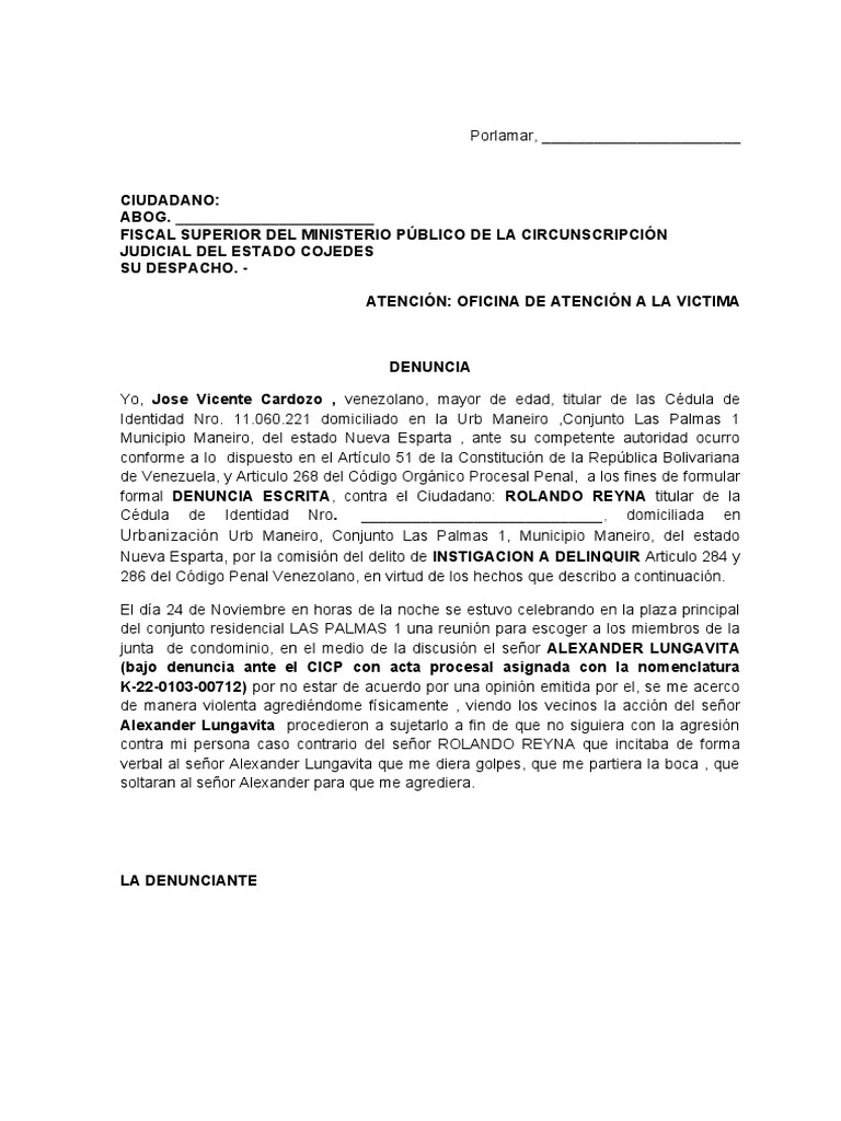 Modelo Denuncia Penal | PDF