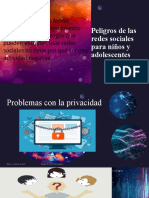 Peligros Del Internet