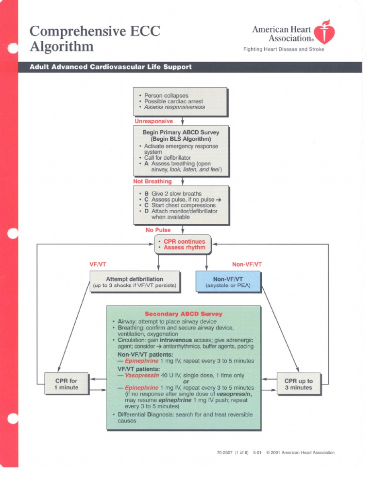 Aha | PDF