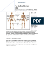 Activities Unit 2: The Skeletal System