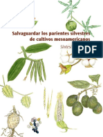 Sintesis Salvaguardando Parientes Silvestres