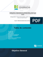 Plantilla Presentacion Institucional (EDITABLE)