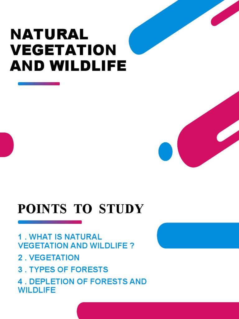 Understanding Natural Vegetation and Wildlife | PDF | Forests | Trees