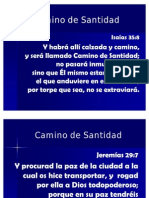 Camino_de_Santidad