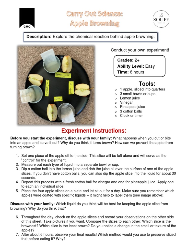 Apple Browning Experiment PDF Apple Chemistry
