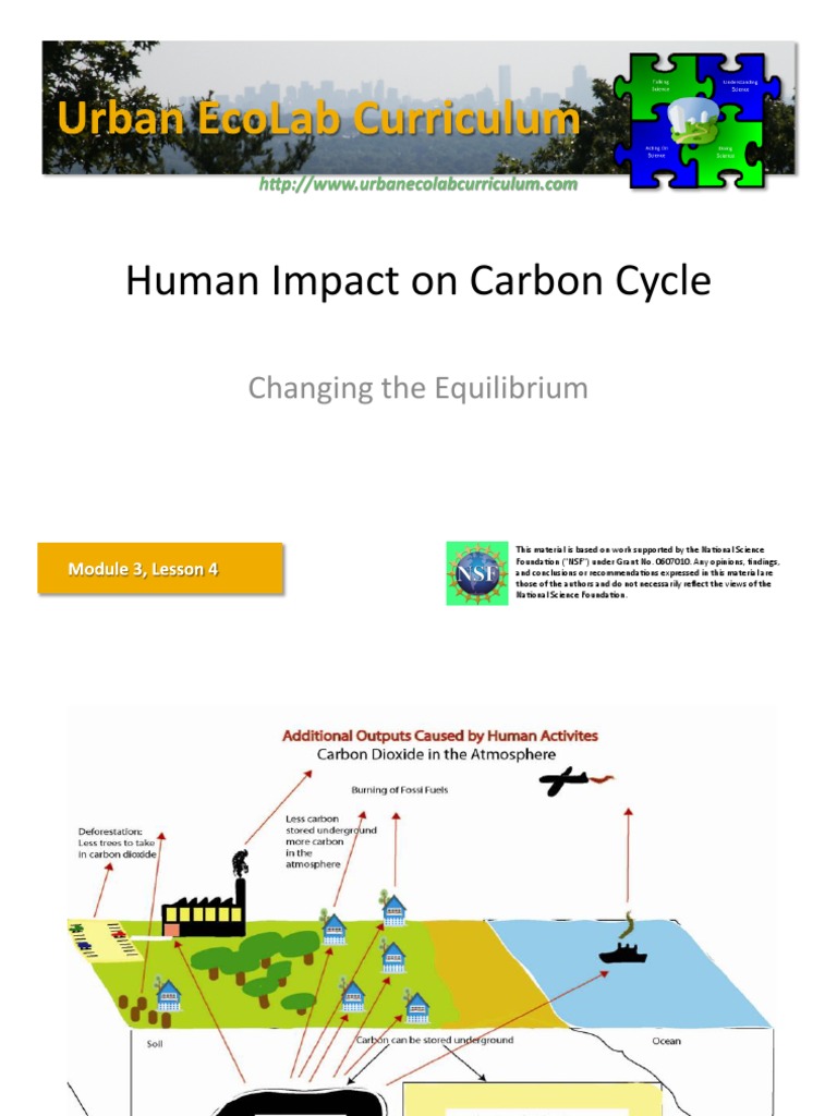 Human Impact on Carbon Cycle | PDF | Nature | Climate Change