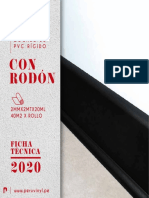 Zocalo Con Rodon 2020