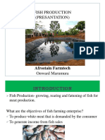 Fish Production - Afrostain Farmtech
