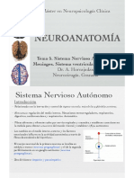 Neuroanatomia Tema 5