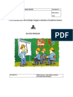 Procedimiento de Trabajo Seguro en Hormigonado PDF