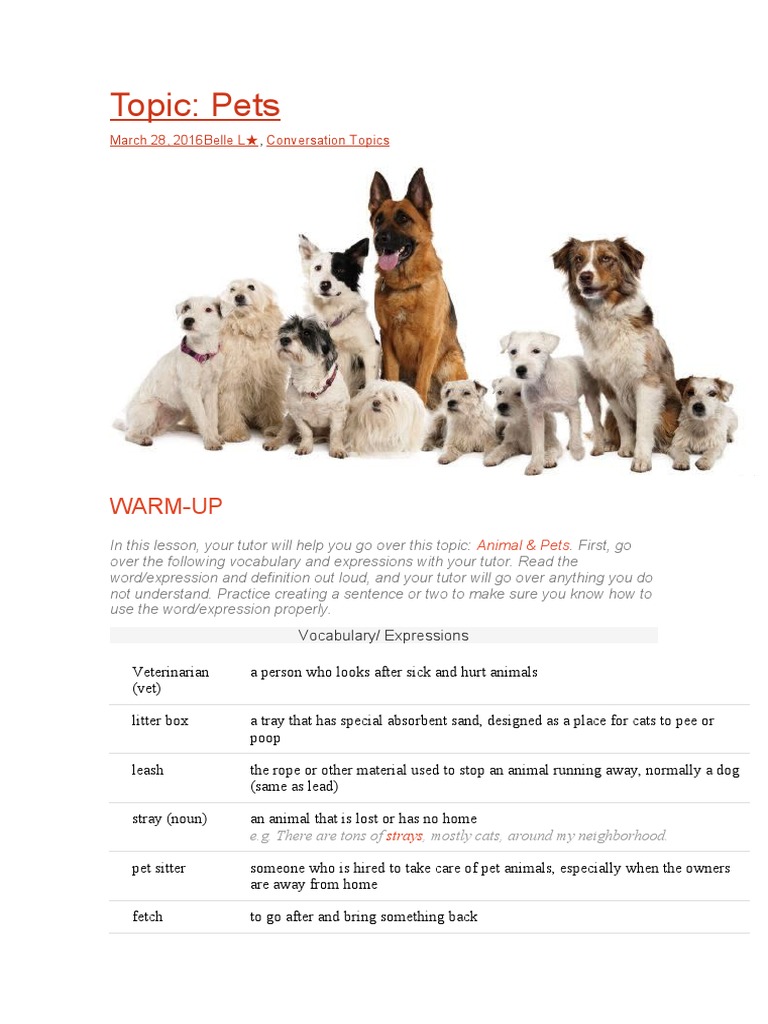 Pets | PDF | Pet | Dogs