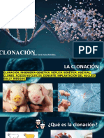 Clonación