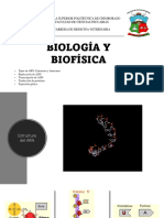 12° Tipos de ARN_estructura y funciones, Replicación de ADN, Transcripción de ADN, Traducción de proteínas, Expresión génica