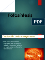 Fotosíntesis
