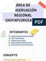 AREA DE CONSERVACION REGIONAL CHUYAPIURUSAYHUA