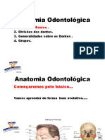 Anatomia Odontológica