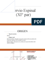 Nervio Espinal (XI° Par)