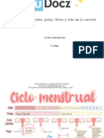 Ciclo Menstrual