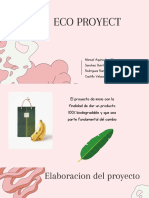Eco Proyect1