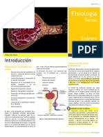 Práctica 5. Renal