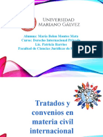 Exposicion Tratatos y Convenios en Materia Civil.