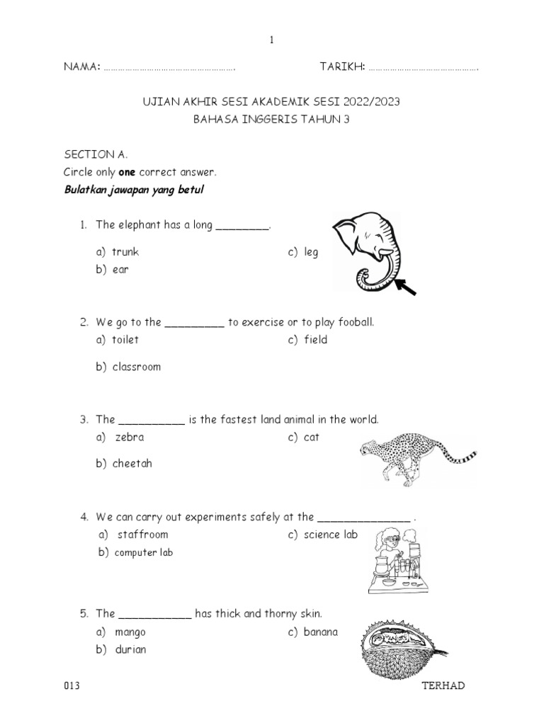English Yr 3 Finals Pdf Food And Drink
