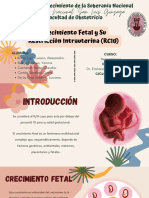 Crecimiento Fetal y Su Restricción Intrauterina (RCIU)
