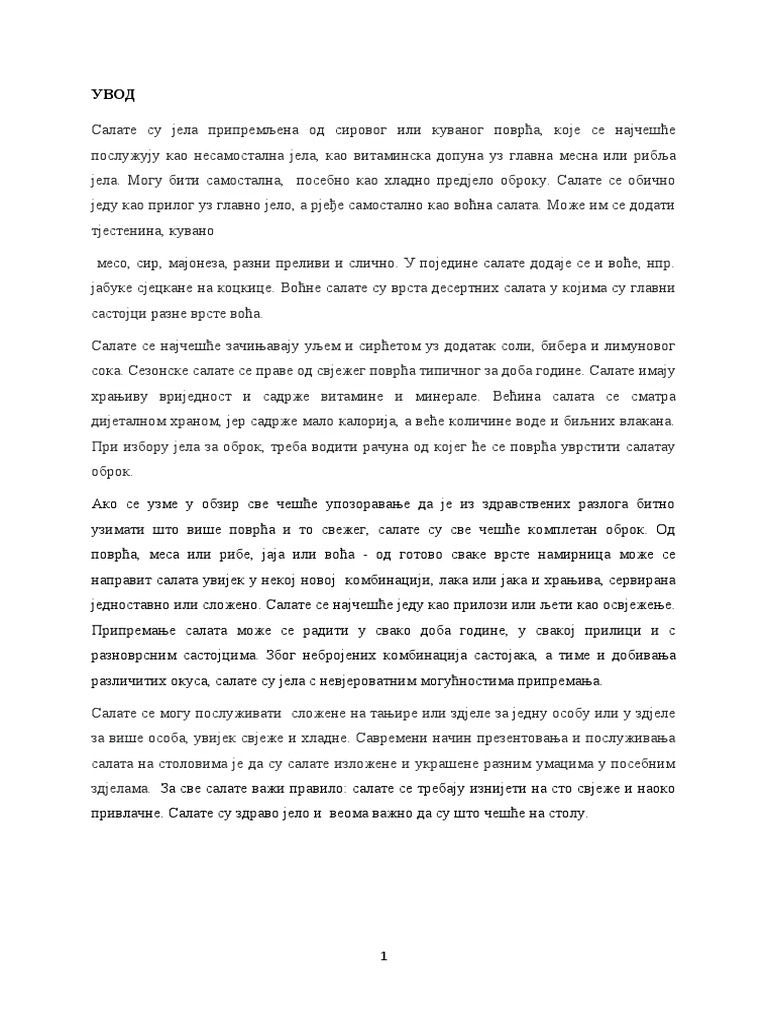 Maturski Rad1 | PDF