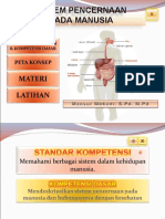 Sistem Pencernaan4 Yes