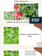 Revisi - 041 - Fadhilah Nur Aini - Famili Gesneriaceae