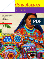 Informática Revista Grupos Étnicos en México