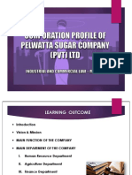 Pelwatte Sugar Company Internal Audit Overview