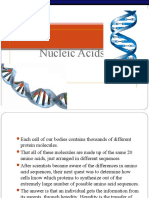 Nucleic Acids Explained