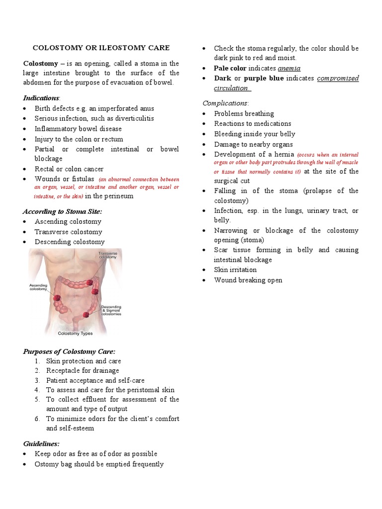 Colostomy and Ileostomy Care Guide | PDF | Gastrointestinal Tract ...