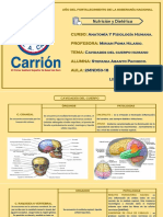 Anatomia y Fisiologia 2