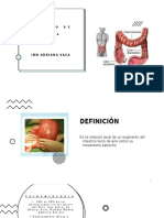 Volvulo del colon: Definición, epidemiología, clasificación, factores de riesgo y tratamiento