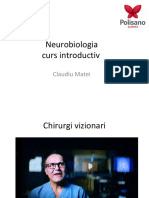 Neurobiologia Curs Introductiv: Claudiu Matei