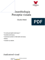 Neurobiologia Perceptia Vizuala: Claudiu Matei