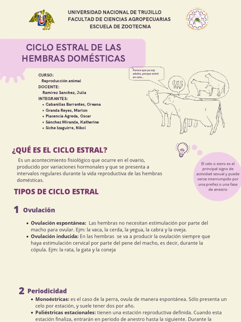 Ciclo Estral en Hembras Domésticas | PDF | Interacciones biológicas ...